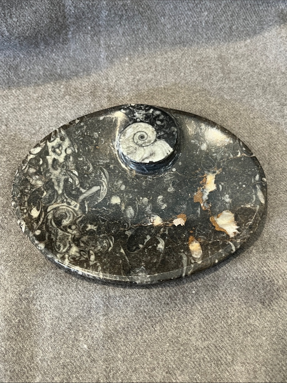 Moroccan Stone Bowl Orthoceras & Goniatite Fossils